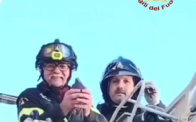 Messina. Salvano un volatile impigliato in cavo, intervento VdF