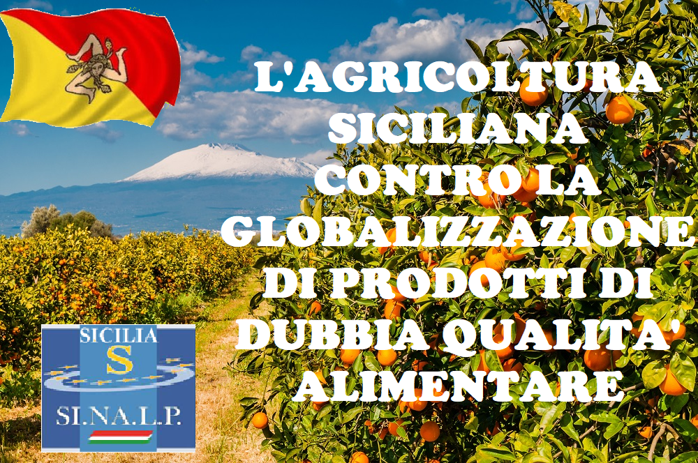 Sicilia. SINALP a difesa dell’agricoltura e zootecnia: “contro la globalizzazione dei prodotti di dubbia qualità”