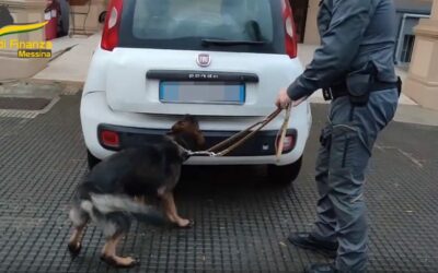 Messina. Il cane Ghimly scova 1 kg cocaina ed eroina in auto, arrestato corriere della droga al porto