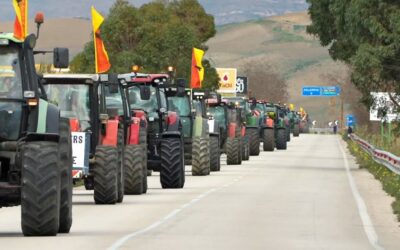 Acquedolci, verso la presentazione del “Manifesto della Rete degli Agricoltori ed Allevatori Siciliani”