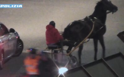 Corse clandestine di cavalli, gara interrotta: quattro indagati