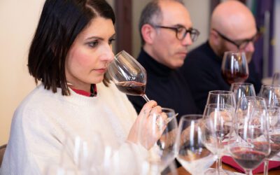 MEdoc, successo a Messina di AIS Sicilia con le Doc Faro, Mamertino e Malvasia delle Lipari