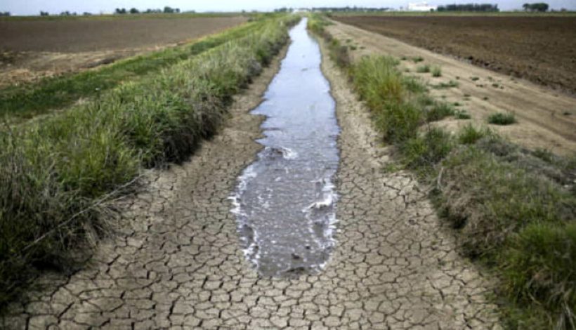 Crisi idrica, appello Distretto Produttivo: “Settore florovivaistico a rischio milioni di euro di produzione”