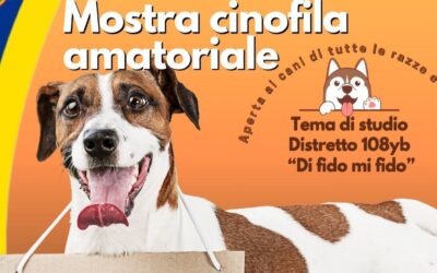 Barcellona PG. Al via il service “Di Fido mi Fido” promosso dal Lions Club ai Giardini Oasi