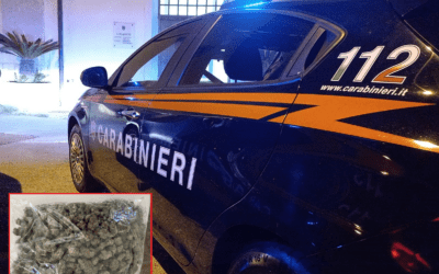 Cane antidroga scova la marijuana dietro l’armadio da camera da letto, uomo arrestato