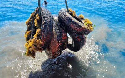 Milazzo. Bonifica ambientale, dopo “Croce di Mare” intervento anche alla Ngonia del Tono