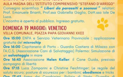 Venetico. Tutto pronto per il DogDay2024