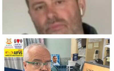 Guardrail ed alberate concause morte vittime della strada, Associazioni: “Sentenze Corte Cassazione, nostra vittoria operativa”