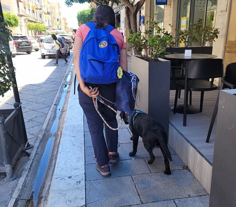 Al Centro regionale ‘Helen Keller’ di Messina, cerimonia di consegna cani guida e bastoni per ciechi