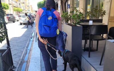 Al Centro regionale ‘Helen Keller’ di Messina, cerimonia di consegna cani guida e bastoni per ciechi