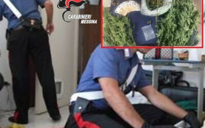 Piante di cannabis e marijuana in casa, 41enne arrestato