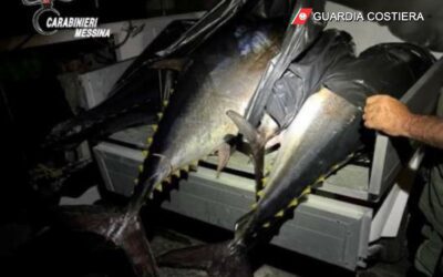 Violazione alle norme sulla pesca, i Carabinieri e Capitaneria di Porto sanzionano due persone: sequestrate attrezzature per la pesca e quattro esemplari di tonno
