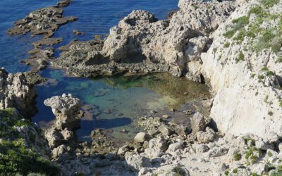 Arcidiocesi di Messina. Annuale appuntamento di fine estate con la natura: si inizia in tutte le parrocchie con la Celebrazione di domenica 1° settembre