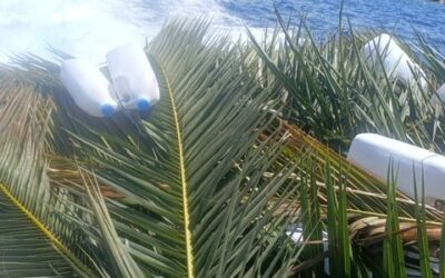 Capitaneria di porto di Messina, sequestrati in mare oltre 40 attrezzi da pesca non consentiti