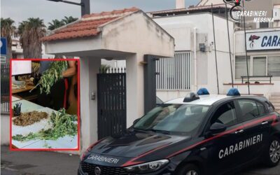 Coltiva cannabis nel terreno di casa, 50enne arrestato