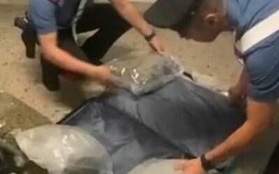 Trovato con droga in casa, sequestro di oltre 7 kg di marijuana: arrestato un 33enne