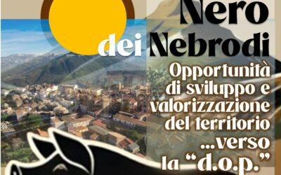 Mirto, verso il convegno sul Suino Nero dei Nebrodi: valorizzazione, territorio e futuro