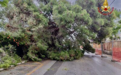 Maltempo nel messinese, VDF: oltre 50 interventi tra dissesti, frane e alberi caduti