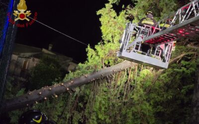 Maltempo, oltre 1180 interventi tra danni d’acqua, alberi caduti e frane