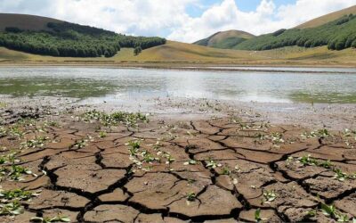 Crisi Idrica. Lettera aperta del ‘Circolo ZW Sicilia’ ai Sindaci Comprensorio tirrenico