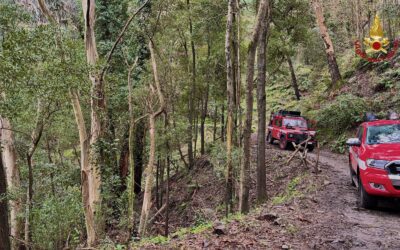Messina. Tragedia sui Colli, ritrovato senza vita: 53enne scomparso da due giorni