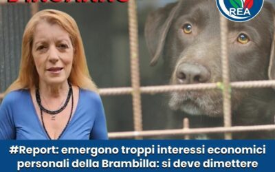 REPORT, Brambilla nel mirino: inganno a volontari, cittadini, consumatori e istituzioni