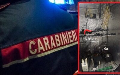 Droga in casa, 61enne arrestato: sequestrata serra artigianale con due piante cannabis