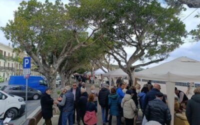 Milazzo. Via libera del Consiglio comunale all’istituzione del Mercato del contadino