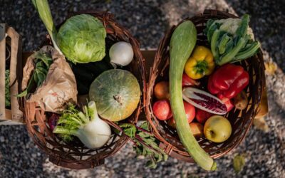 Messina, nasce l’Orto Sociale: sei ettari per inclusione e sostenibilità