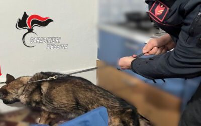 Eolie, droga nelle prese della corrente: pusher e altri tre individui arrestati