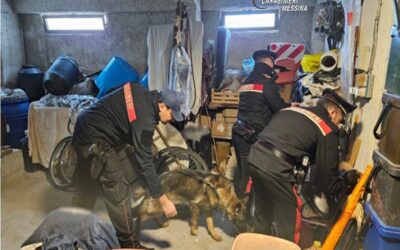 A Milazzo e Torregrotta, controlli in due attività: tre arresti e sequestro di droga e munizioni illegali