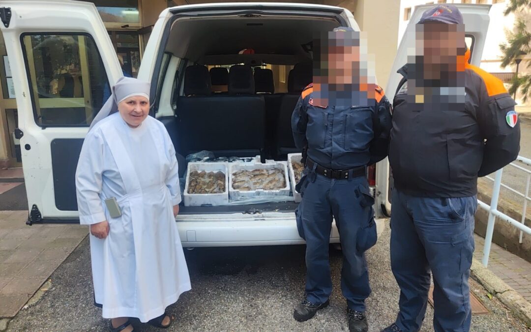 Recuperata una tartaruga marina “Caretta Caretta” e sequestrati 20 Kg di pescato vario