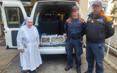 Recuperata una tartaruga marina “Caretta Caretta” e sequestrati 20 Kg di pescato vario