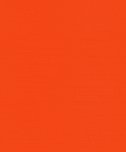 GIF-CODGO-250X300.gif