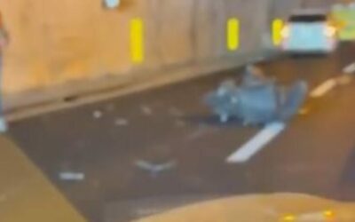 Incidente mortale su A20, motociclista perde la vita