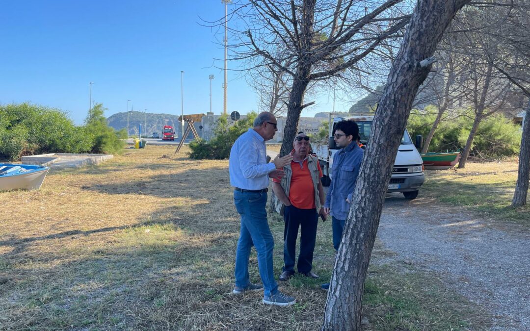 Milazzo. Bonifica del terrapieno e potatura degli alberi a Ponente
