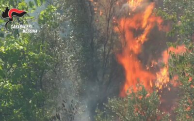 Incendio boschivo di vaste proporzioni nel luglio 2023: 59enne arrestato