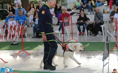 Messina. Centro Helen Keller, verso cerimonia di consegna cani guida e bastoni per non vedenti
