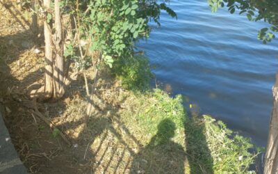 Il lago di Ganzirri si rifà il look, conclusi gli interventi di bonifica tra scerbatura e raccolta rifiuti