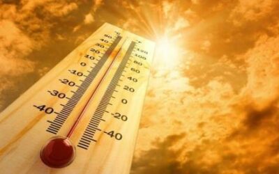 Ondate di caldo, stop ad attività lavorative a rischio con temperatura elevata