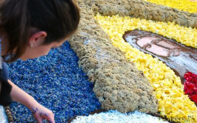Montalbano Elicona. “Braidi in Fiore” tra arte, tradizione e gusto: verso la 24ª Infiorata con luminaria notturna
