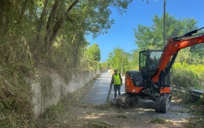 Città Metropolitana di Messina, in corso interventi di scerbatura e messa in sicurezza su S.P. area tirrenico-eoliana