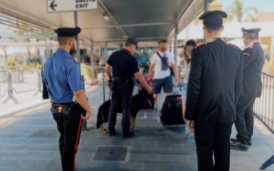 Eolie. Controlli straordinari a Milazzo: 15 denunce e 5 segnalati per droga, denunciati 6 titolari di attività commerciali. Sequestro di oltre 10 kg di alimenti in cattivo stato di conservazione