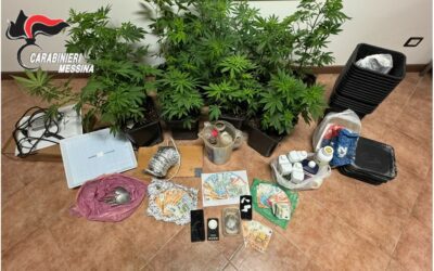 Spacciavano hashish e cocaina, tre arrestati: trovata coltivazione in casa