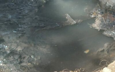 Messina. Torrente Cavatore di Faro Superiore, Gioveni: “il “fiume” di fogna è servito!”