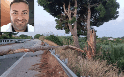 Ucciso da albero precipitato su A20: medico Francesco Maniaci, fissata ad ottobre l’udienza preliminare