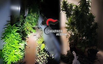 Coltivava marijuana in casa, 72enne arrestato