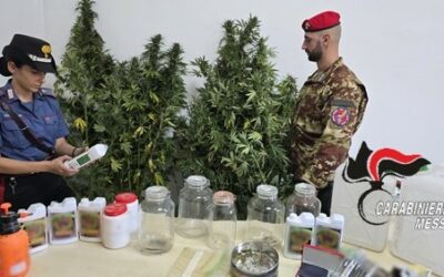 Scoperta piantagione di canapa indiana nelle colline di San Filippo, ‘coltivatori beccati’ mentre irrigavano: due arresti