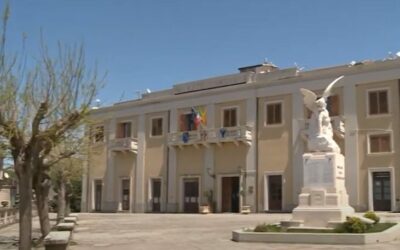 Montalbano Elicona chiede lo stato di crisi per la nocciolicoltura: approvata all’unanimità la delibera del Consiglio comunale