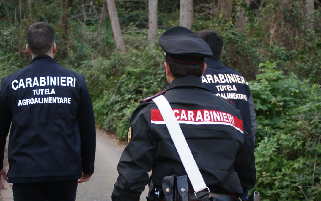 Operazione “Grazing Code”, truffa all’Agea: sequestro di circa 455 mila euro a 4 imprenditori agricoli messinesi